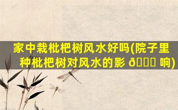 家中栽枇杷树风水好吗(院子里种枇杷树对风水的影 🐋 响)